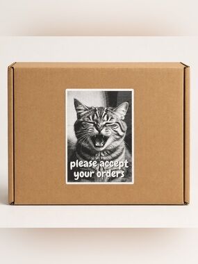 Silly Kitty Please Accept Your Orders Stickers-100ct.